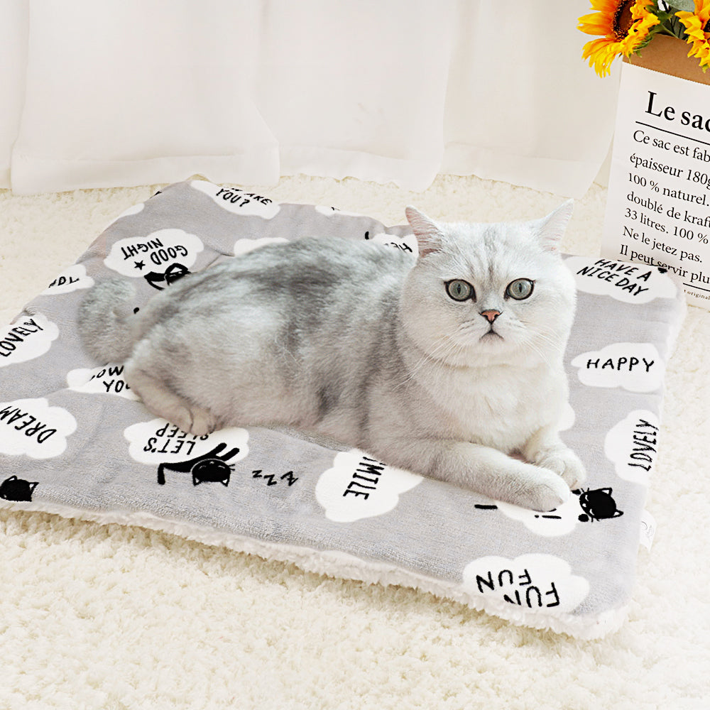 Why Your Pet Deserves the Luxurious Lambskin Pet Blanket
